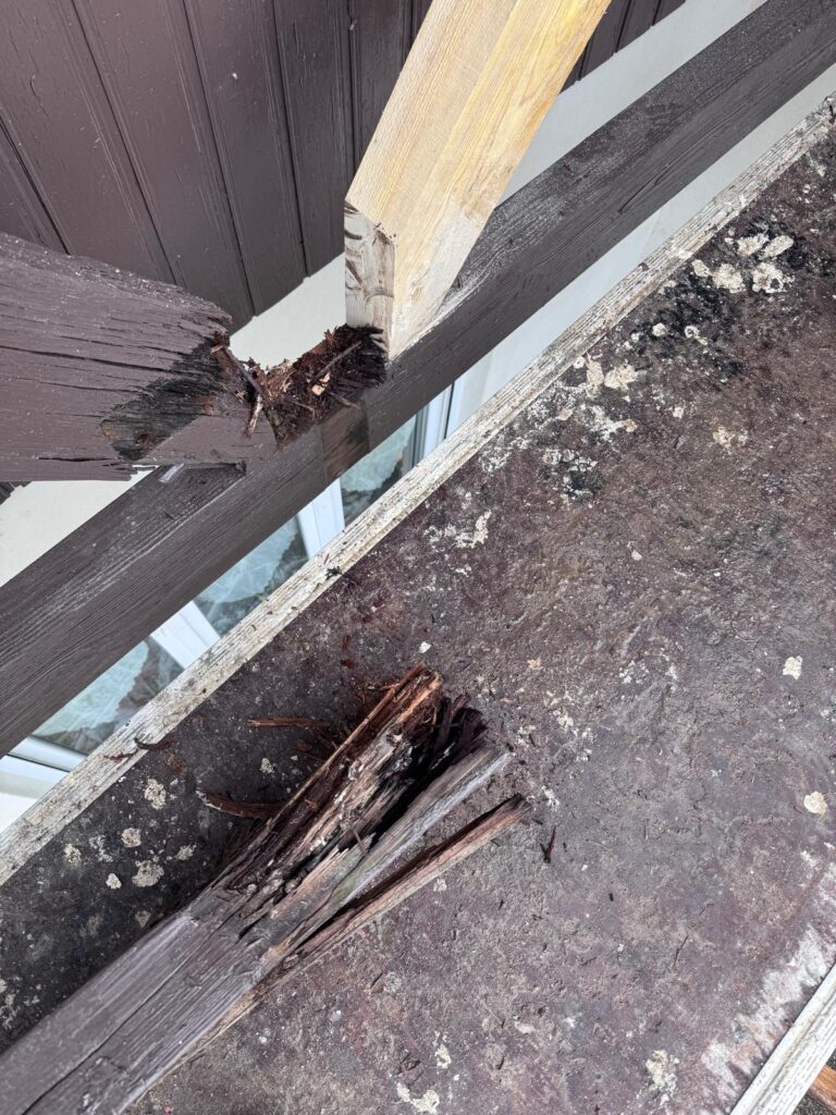Gros plan sur une gouttière et une poutre en bois abîmée